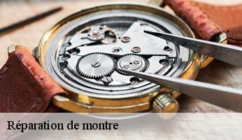 Réparation de montre  69 Rhône  Benoni Horloger 69