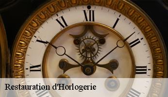 Restauration d'Horlogerie 69 Rhône  Benoni Horloger 69