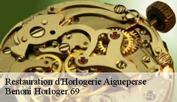 Restauration d'Horlogerie  aigueperse-69790 Benoni Horloger 69