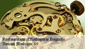 Restauration d'Horlogerie  bagnols-69620 Benoni Horloger 69