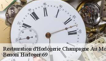 Restauration d'Horlogerie  champagne-au-mont-d-or-69410 Benoni Horloger 69