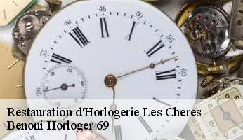 Restauration d'Horlogerie  les-cheres-69380 Benoni Horloger 69