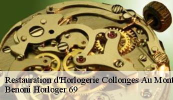 Restauration d'Horlogerie  collonges-au-mont-d-or-69660 Benoni Horloger 69