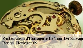 Restauration d'Horlogerie  la-tour-de-salvagny-69890 Benoni Horloger 69