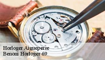 Horloger  aigueperse-69790 Benoni Horloger 69