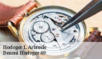 Horloger  l-arbresle-69210 Benoni Horloger 69