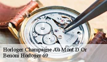 Horloger  champagne-au-mont-d-or-69410 Benoni Horloger 69