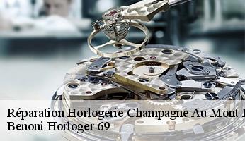 Réparation Horlogerie  champagne-au-mont-d-or-69410 Benoni Horloger 69