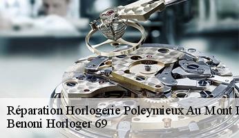 Réparation Horlogerie  poleymieux-au-mont-d-or-69250 Benoni Horloger 69