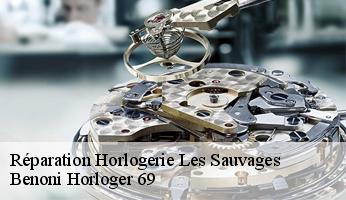 Réparation Horlogerie  les-sauvages-69170 Benoni Horloger 69