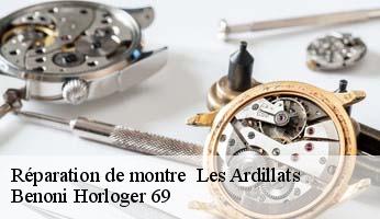 Réparation de montre   les-ardillats-69430 Benoni Horloger 69