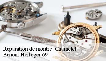 Réparation de montre   chamelet-69620 Benoni Horloger 69