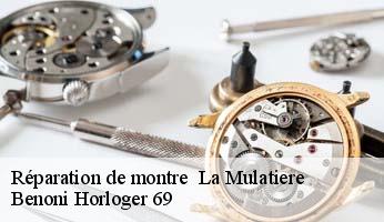 Réparation de montre   la-mulatiere-69350 Benoni Horloger 69