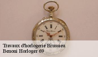 Travaux d'horlogerie  brussieu-69690 Benoni Horloger 69