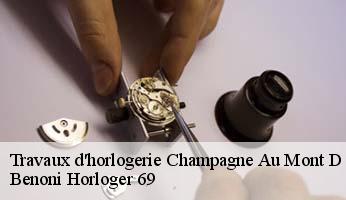 Travaux d'horlogerie  champagne-au-mont-d-or-69410 Benoni Horloger 69