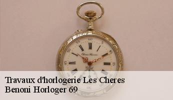 Travaux d'horlogerie  les-cheres-69380 Benoni Horloger 69