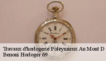 Travaux d'horlogerie  poleymieux-au-mont-d-or-69250 Benoni Horloger 69