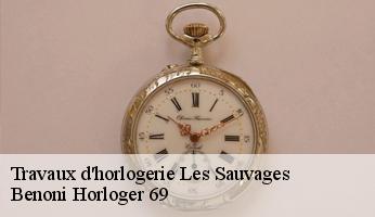 Travaux d'horlogerie  les-sauvages-69170 Benoni Horloger 69