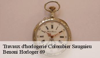 Travaux d'horlogerie  colombier-saugnieu-69124 Benoni Horloger 69