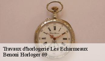 Travaux d'horlogerie  les-echarmeaux-69870 Benoni Horloger 69